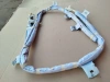 Боковая шторка безопасности Lexus RX 4 (GGL25L) OEM 621800E090, 2015-2022